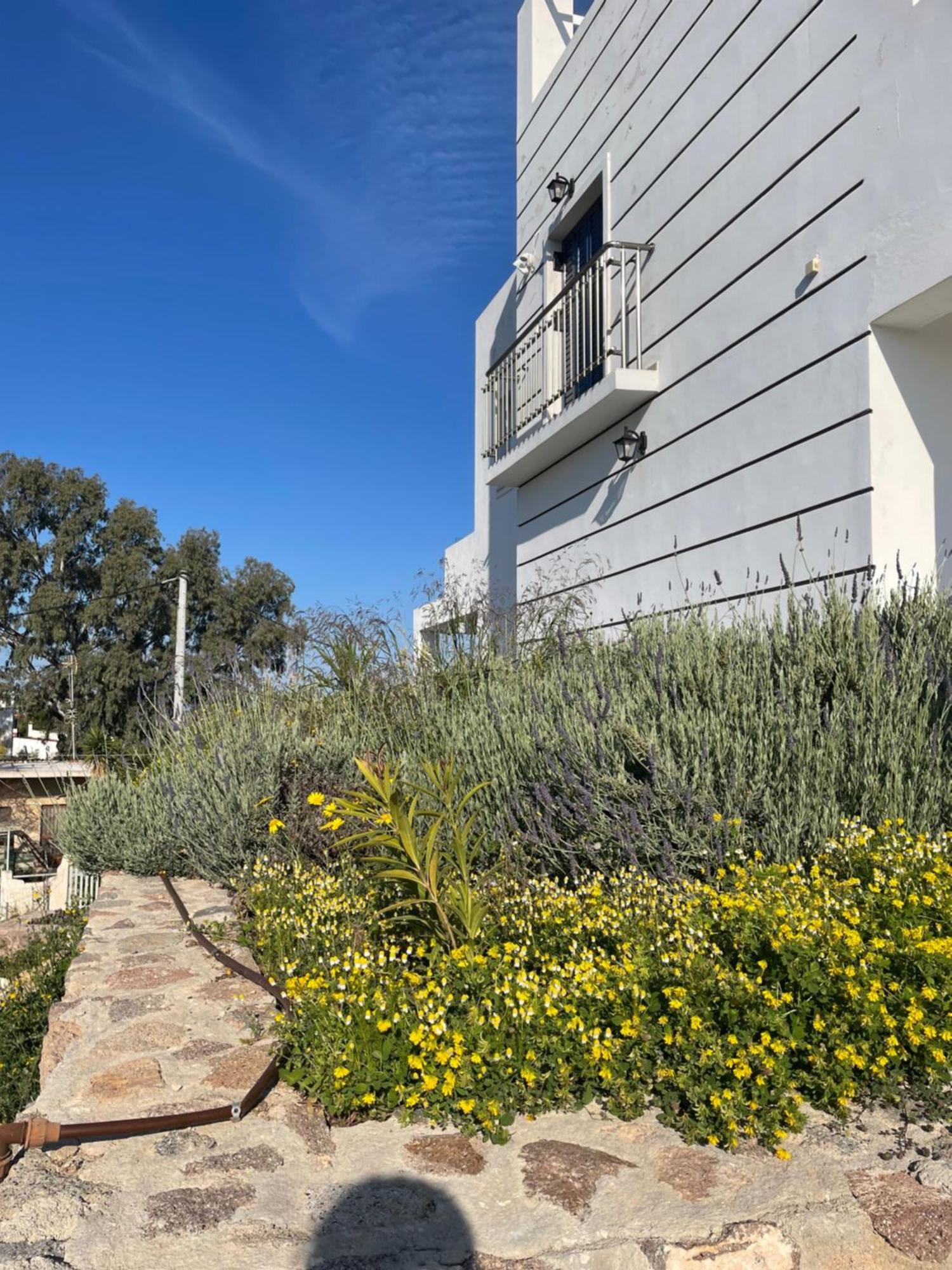 Souvala /Aegina. Excellent Location Luxury Villa. Vathi  Ngoại thất bức ảnh